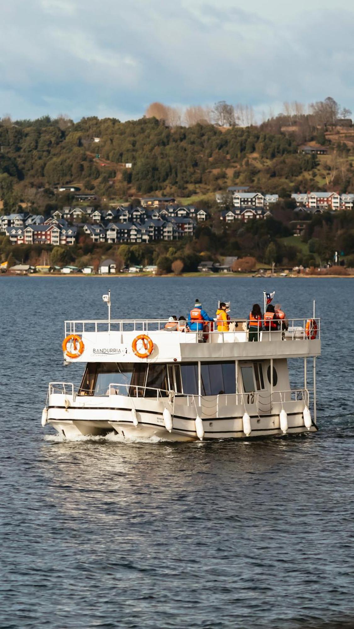 Exquisito Depa Con La Mejor Vista Al Lago Y Tinaja Puerto Varas Exteriér fotografie
